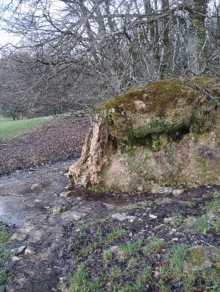 Blaisy-Haut - concrétion de tuff géante - photo 1, Aurélien Bloch.jpg.jpg
Cascade de tufs
Fichier manquant